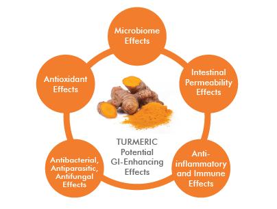 Turmeric - As Good As all the Hype?